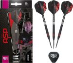 Target Nathan Aspinall Black Swiss Point 80% Tungsten 24 gram